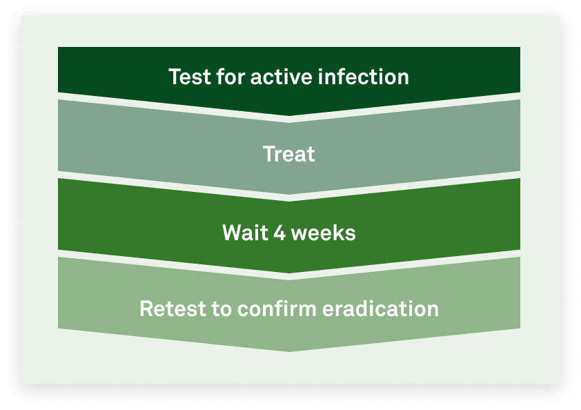 Test for active infection > Treat > Wait 4 weeks > Retest to confirm eradication