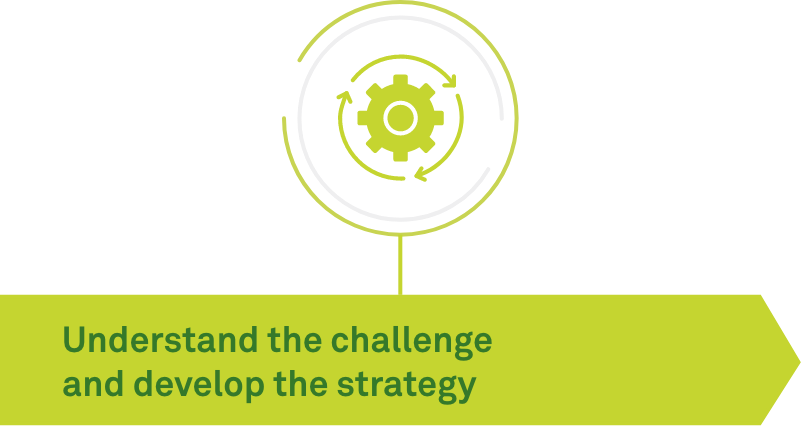 Understanding the challenge and develop the strategy