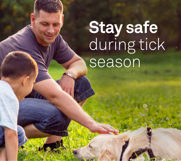 Stay safe during tick season