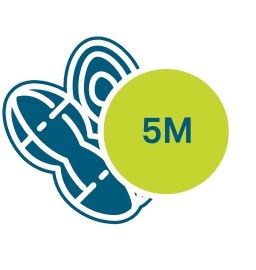 5M
